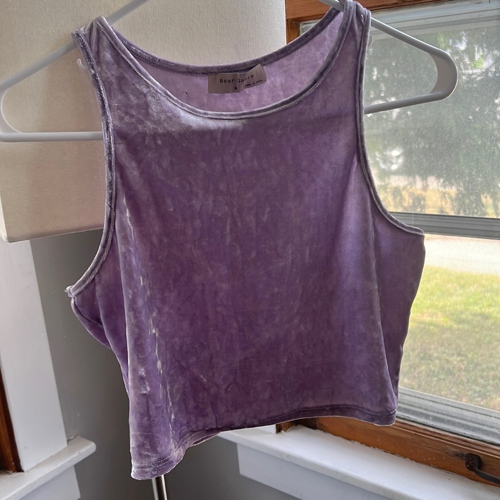 Purple Vevlet Crop Top